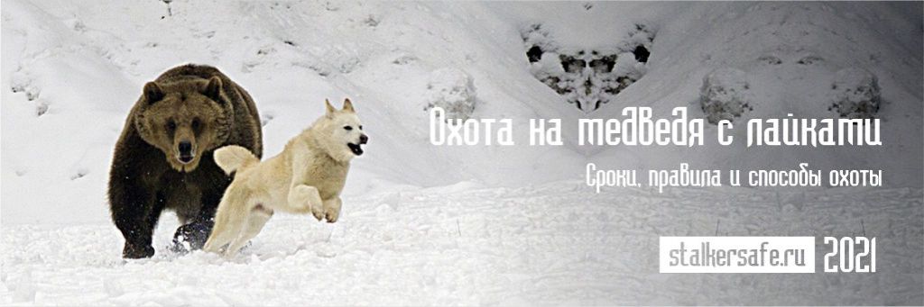 Медведь Челябинск Магазин Охоты Медведь Челябинск Магазин Охоты