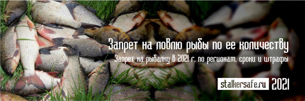 Запрет на ловлю рыбы по ее количеству