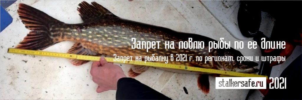 Запрет на ловлю рыбы по ее длине