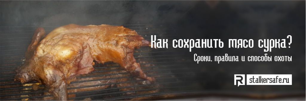 Как сохранить мясо сурка фото