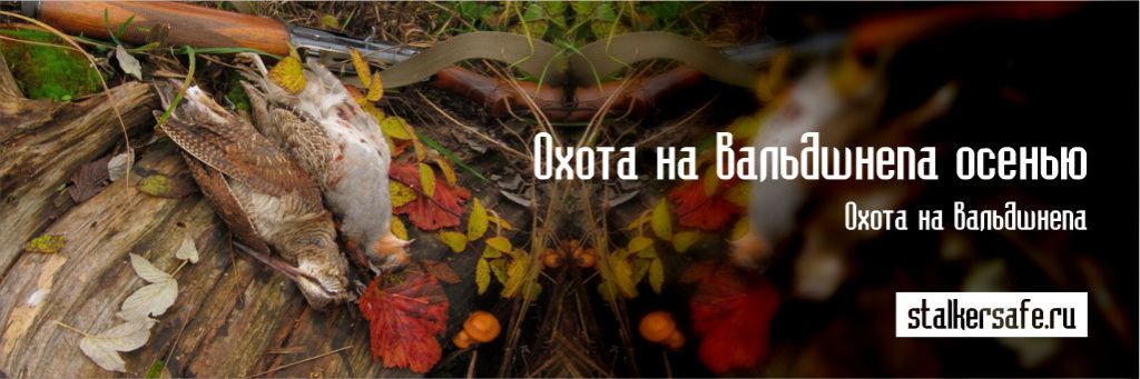 Охота на вальдшнепа осенью на высыпках