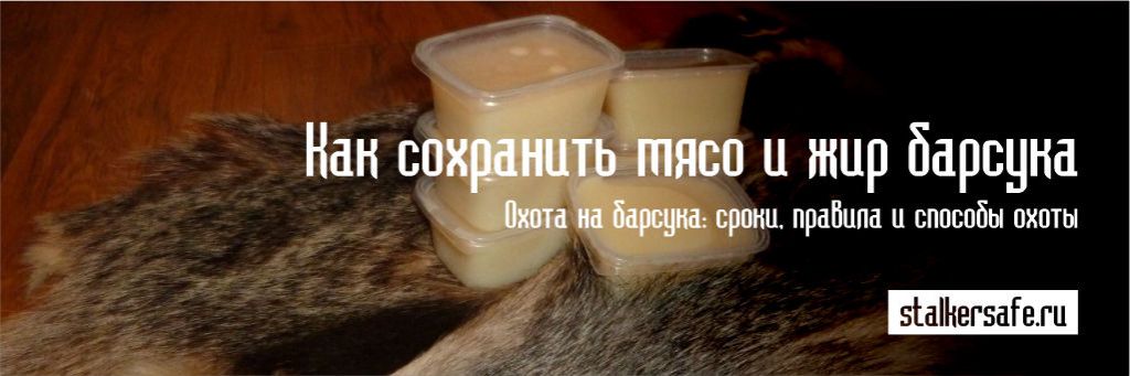 Как сохранить мясо и жир барсука