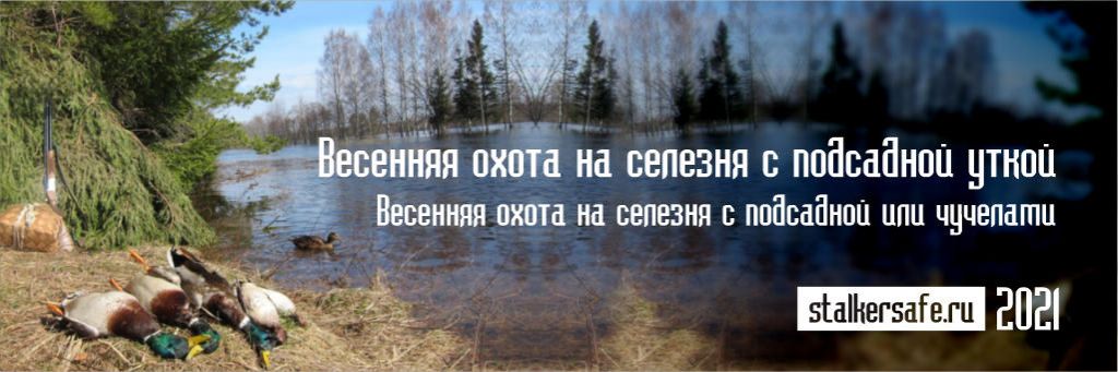 Как охотиться на утку весной