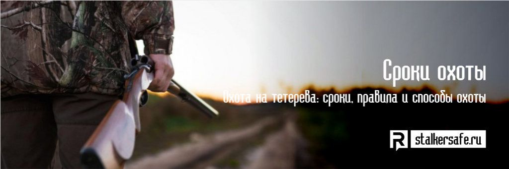 Podmínky lovu tetřívka fotografie